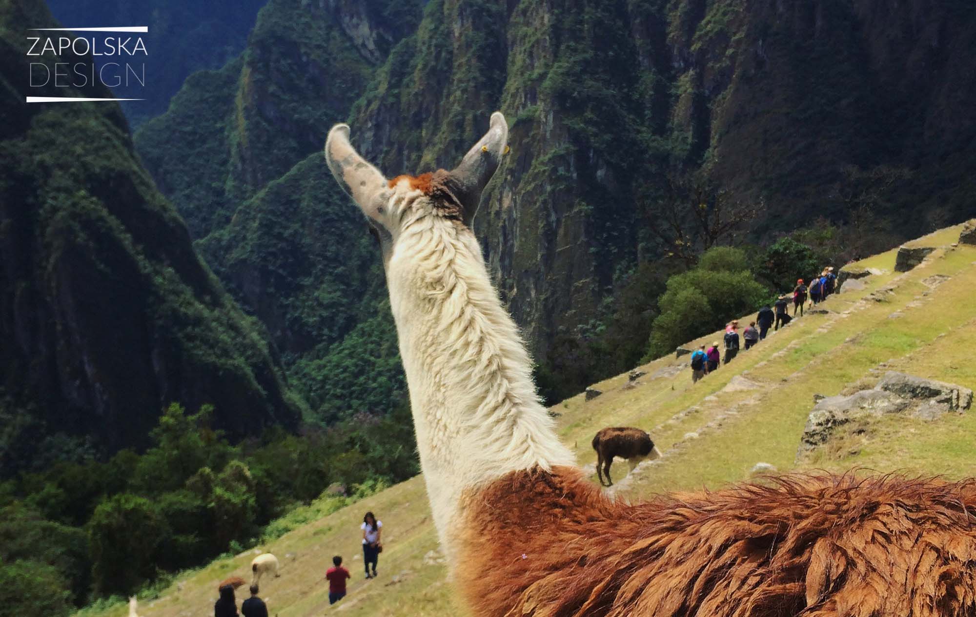 Zapolskadesign_Peru10.55.28