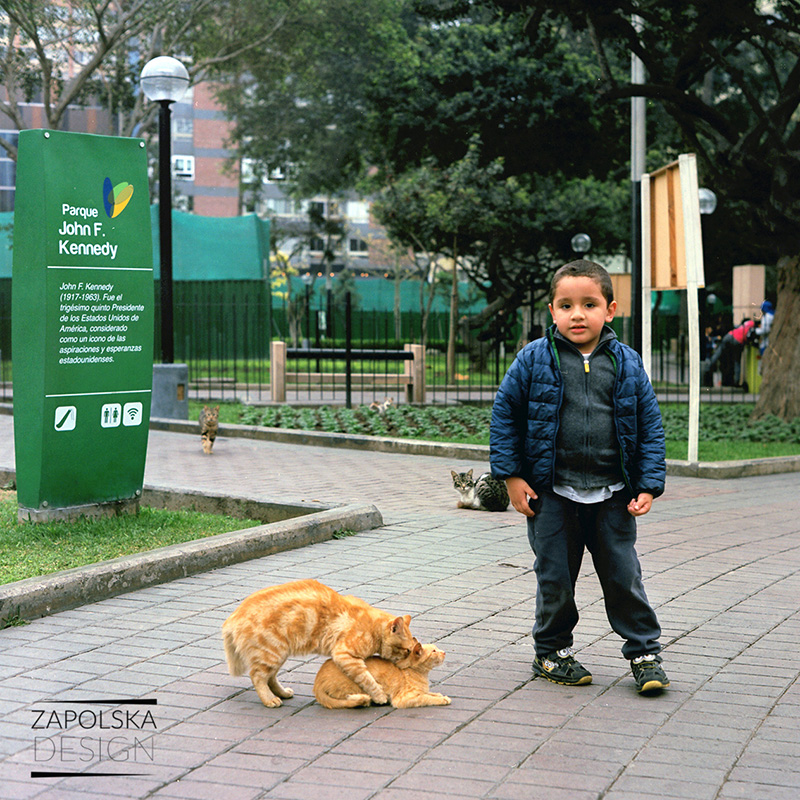 zapolskadesign201600906Peru_0009